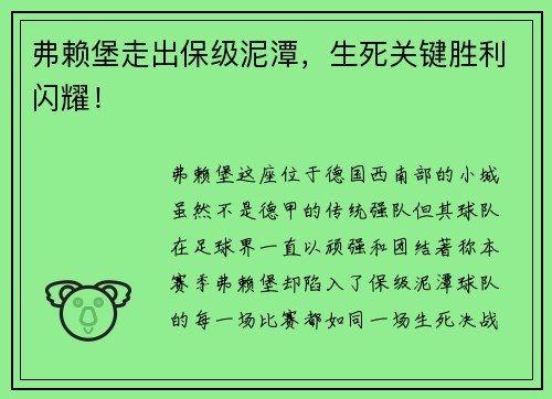 弗赖堡走出保级泥潭，生死关键胜利闪耀！